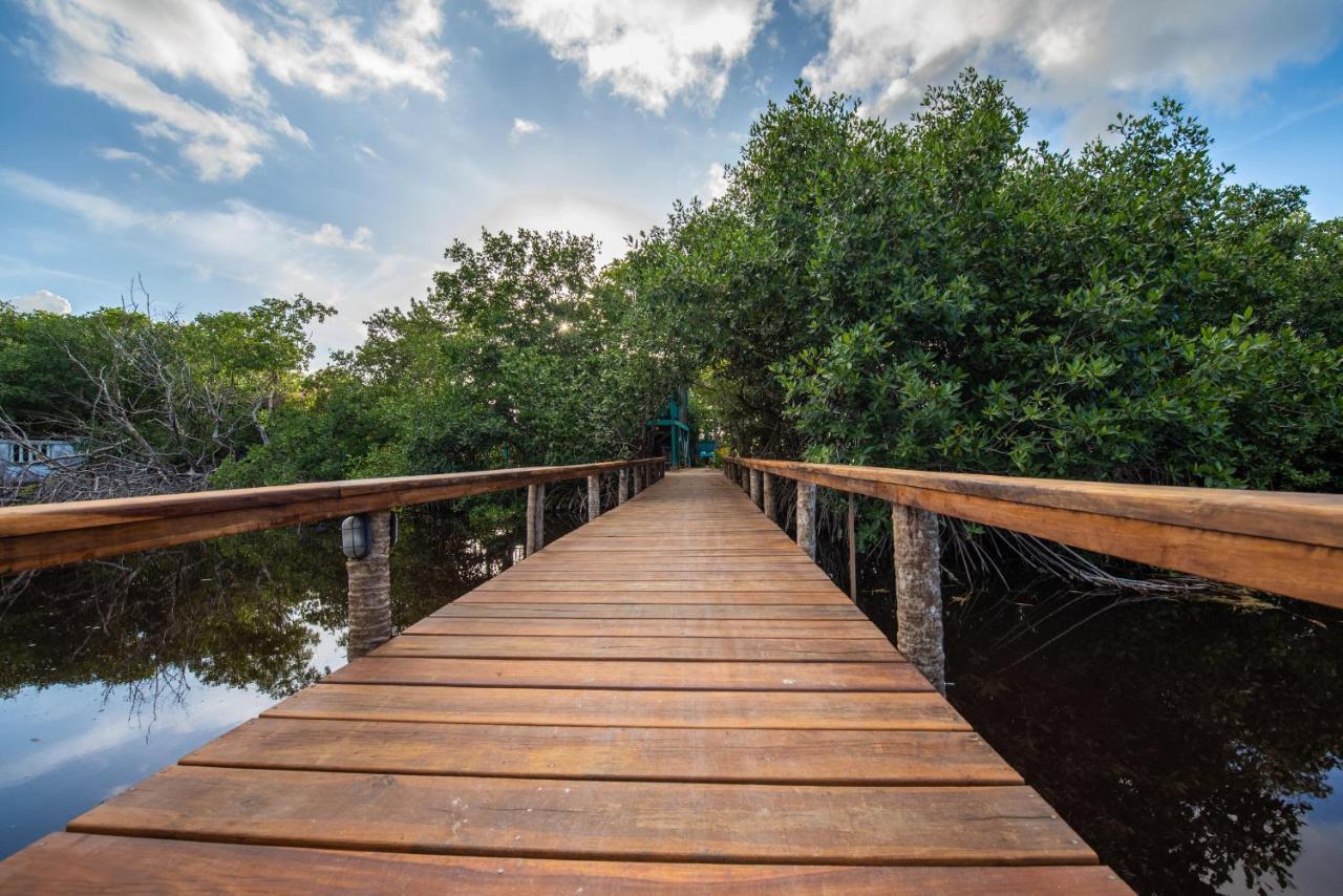 סן פדרו Bella Vista Resort Belize מראה חיצוני תמונה